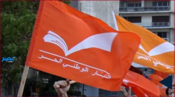 جريمة وبيئة.. قطع أشجار غابة أرز الرب يهدد التراث الوطني والطبيعي